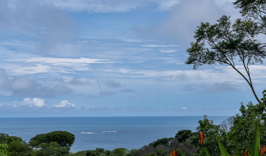 Uvita, Osa, 60504, ,Land,For Sale,Uvita,1075