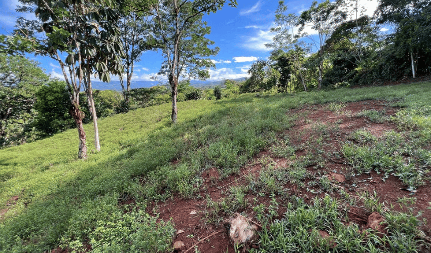 La Arepa, Perez Zeledon, 11909, ,Land,For Sale,La Arepa,1078