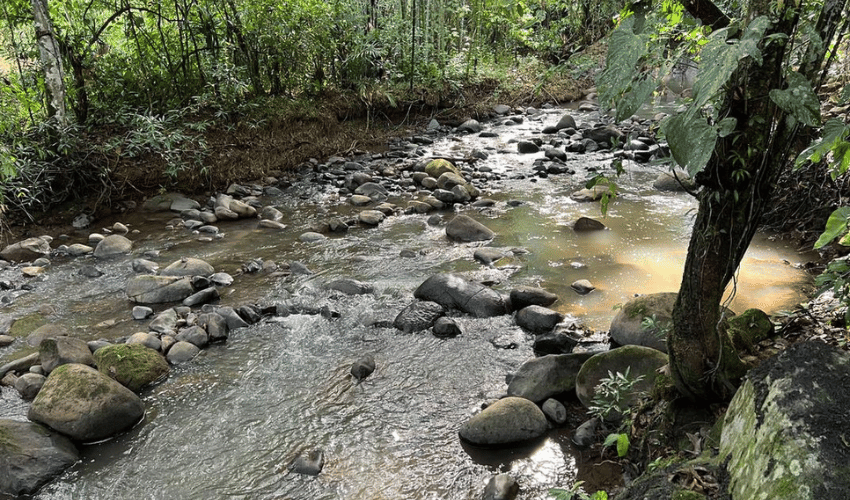 La Arepa, Perez Zeledon, 11909, ,Land,For Sale,La Arepa,1078