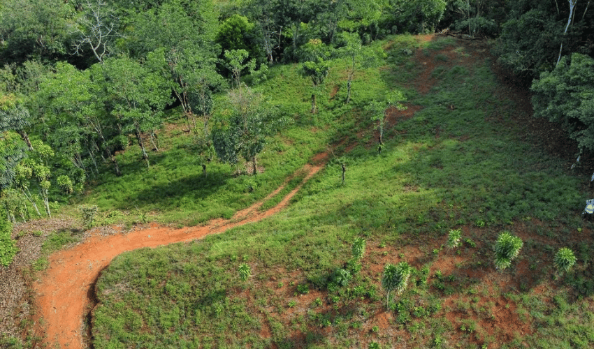 La Arepa, Perez Zeledon, 11909, ,Land,For Sale,La Arepa,1078