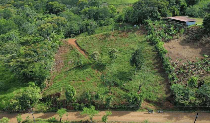 La Arepa, Perez Zeledon, 11909, ,Land,For Sale,La Arepa,1078