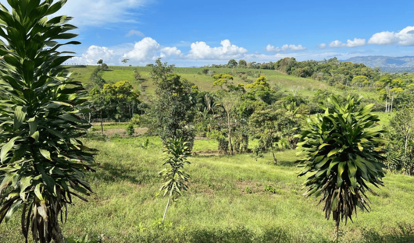 La Arepa, Perez Zeledon, 11909, ,Land,For Sale,La Arepa,1078