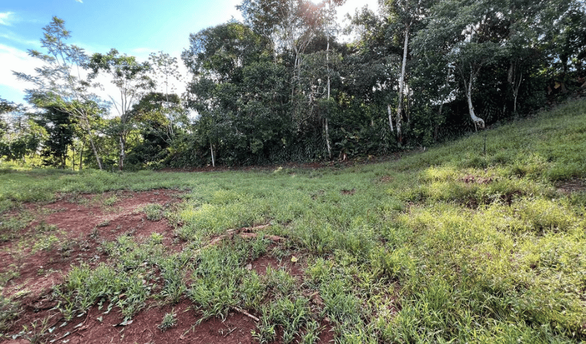 La Arepa, Perez Zeledon, 11909, ,Land,For Sale,La Arepa,1078