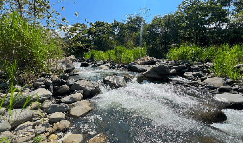 Rivas, Perez Zeledon, 11904, ,Land,For Sale,Rivas,1079