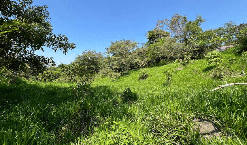 Rivas, Perez Zeledon, 11904, ,Land,For Sale,Rivas,1079