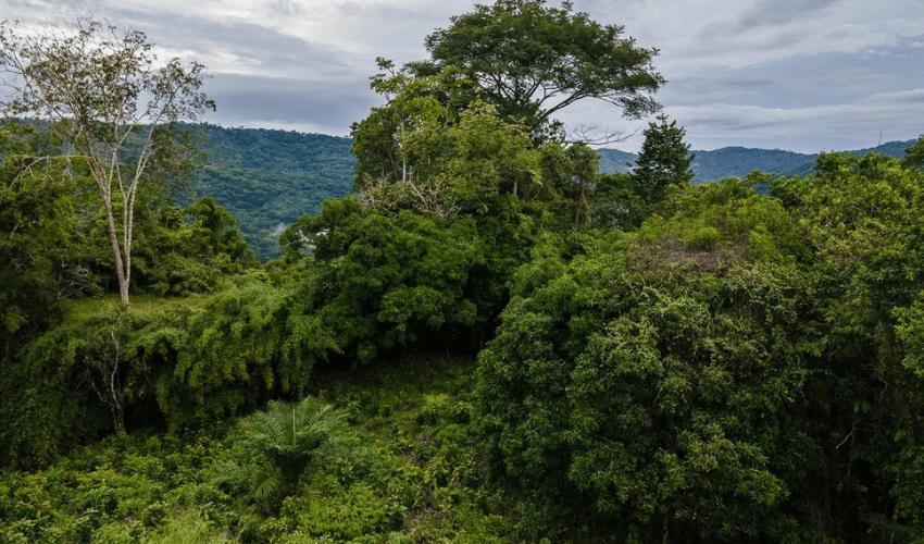 Platanillo, Perez Zeledon, 11909, ,Land,For Sale,Platanillo,1080