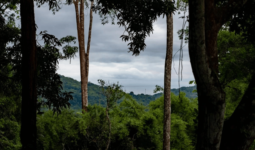 Platanillo, Perez Zeledon, 11909, ,Land,For Sale,Platanillo,1080