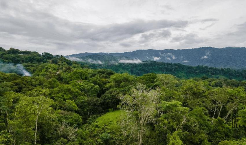 Platanillo, Perez Zeledon, 11909, ,Land,For Sale,Platanillo,1080