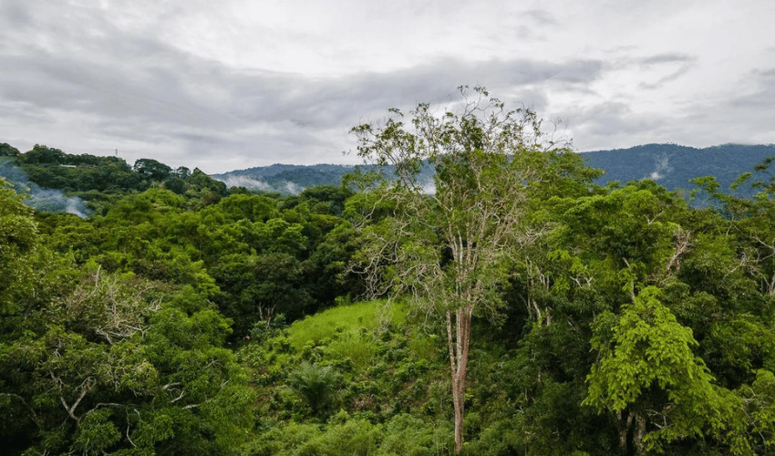 Platanillo, Perez Zeledon, 11909, ,Land,For Sale,Platanillo,1080