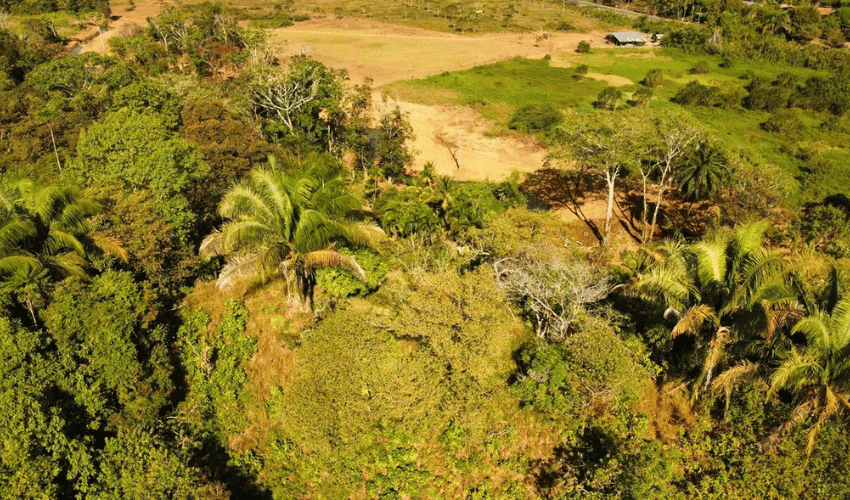 Manuel Antonio, Quepos, 60601, ,Land,For Sale,Manuel Antonio,1082