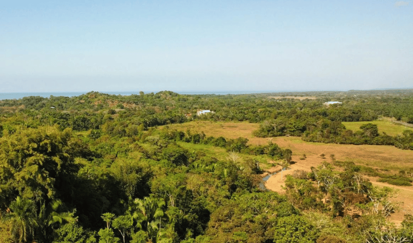 Manuel Antonio, Quepos, 60601, ,Land,For Sale,Manuel Antonio,1082