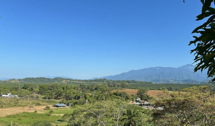 Manuel Antonio, Quepos, 60601, ,Land,For Sale,Manuel Antonio,1082