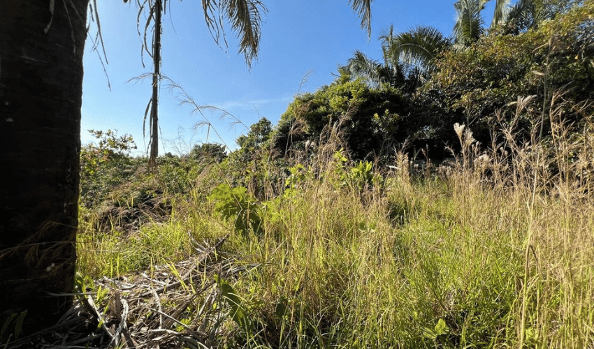 Manuel Antonio, Quepos, 60601, ,Land,For Sale,Manuel Antonio,1082