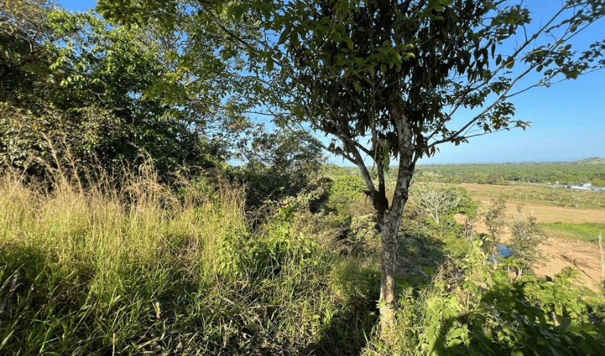 Manuel Antonio, Quepos, 60601, ,Land,For Sale,Manuel Antonio,1082