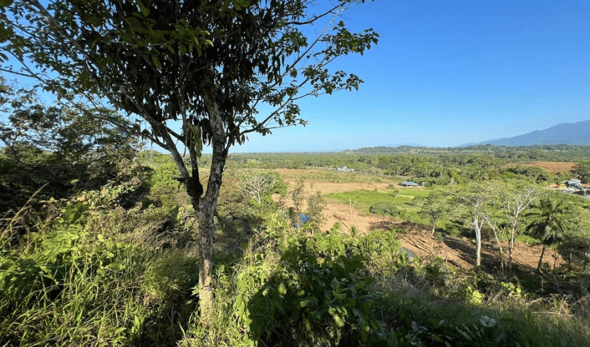 Manuel Antonio, Quepos, 60601, ,Land,For Sale,Manuel Antonio,1082