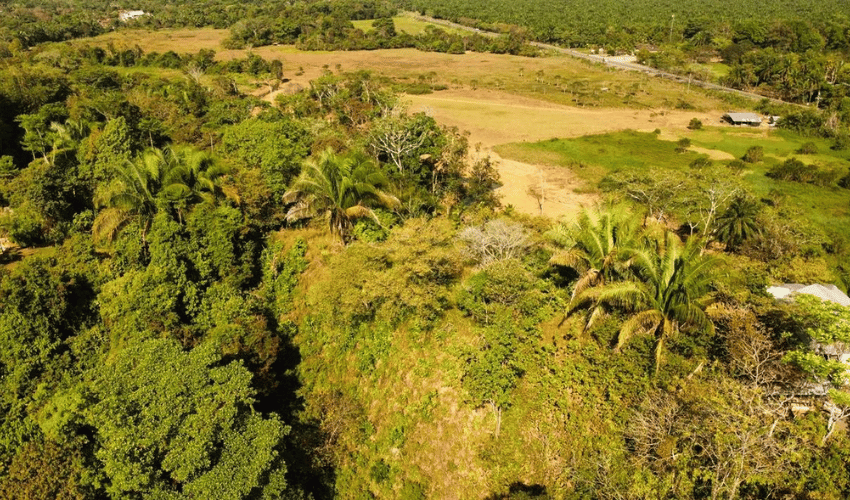 Manuel Antonio, Quepos, 60601, ,Land,For Sale,Manuel Antonio,1082