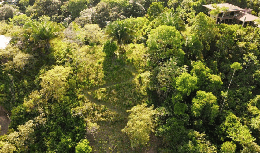 Manuel Antonio, Quepos, 60601, ,Land,For Sale,Manuel Antonio,1082