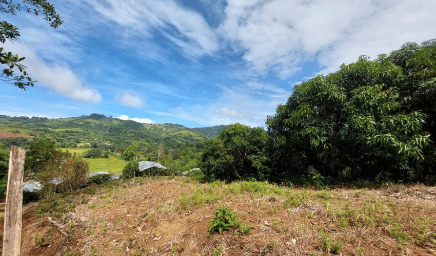 San Isidro del General, Perez Zeledon, 11901, ,Land,For Sale,San Isidro del General,1083