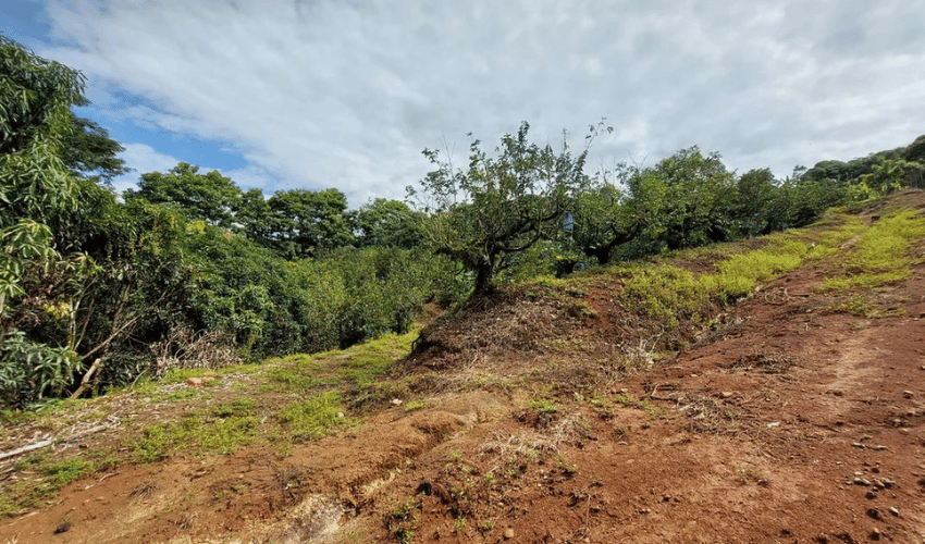 San Isidro del General, Perez Zeledon, 11901, ,Land,For Sale,San Isidro del General,1083