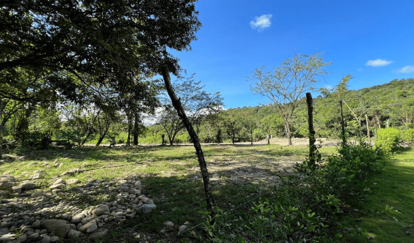 San Pedro, Perez Zeledon, 11905, ,Land,For Sale,San Pedro,1084