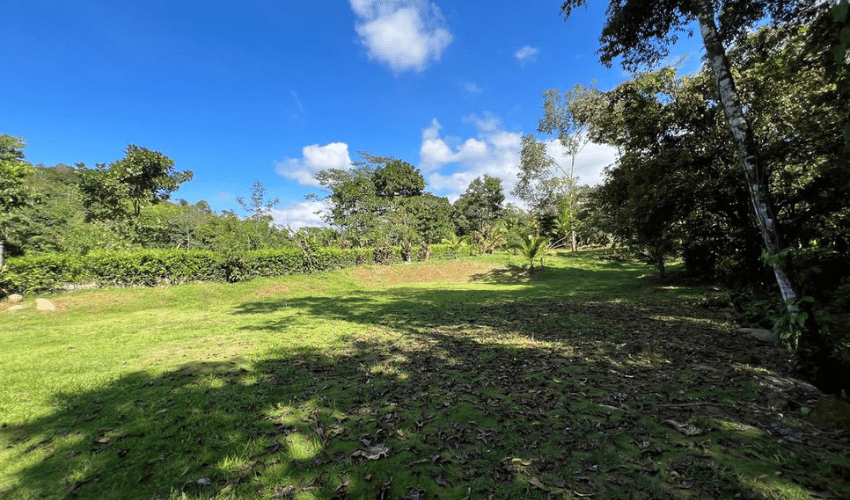 San Pedro, Perez Zeledon, 11905, ,Land,For Sale,San Pedro,1084