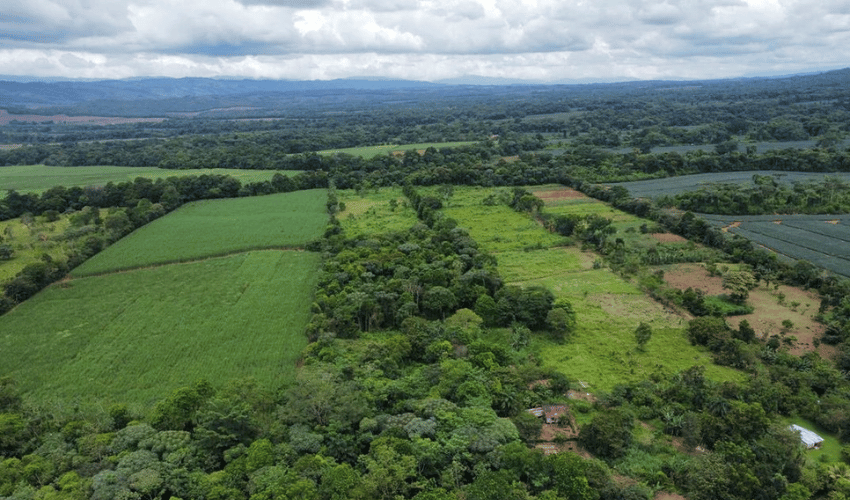 Volcan, Buenos Aires, 60301, ,Land,For Sale,Volcan,1085