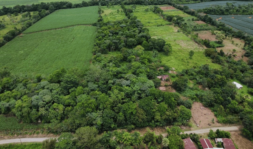 Volcan, Buenos Aires, 60301, ,Land,For Sale,Volcan,1085